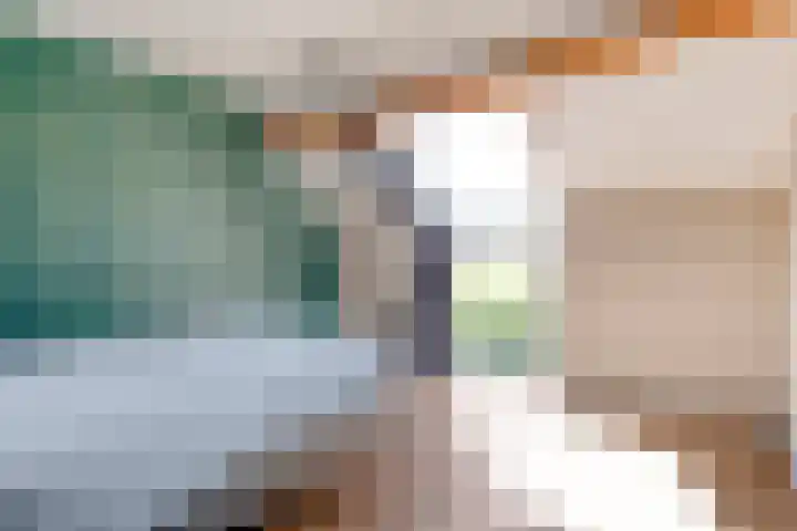 Kleine Pollen 18 Hardenberg thumbnail 27