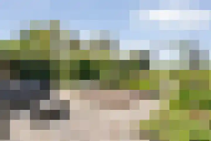 Kleine Pollen 18 Hardenberg thumbnail 38