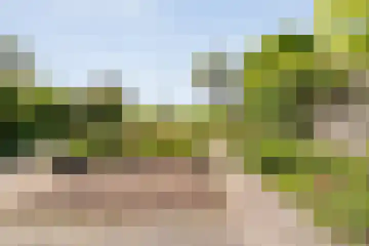 Kleine Pollen 18 Hardenberg thumbnail 39