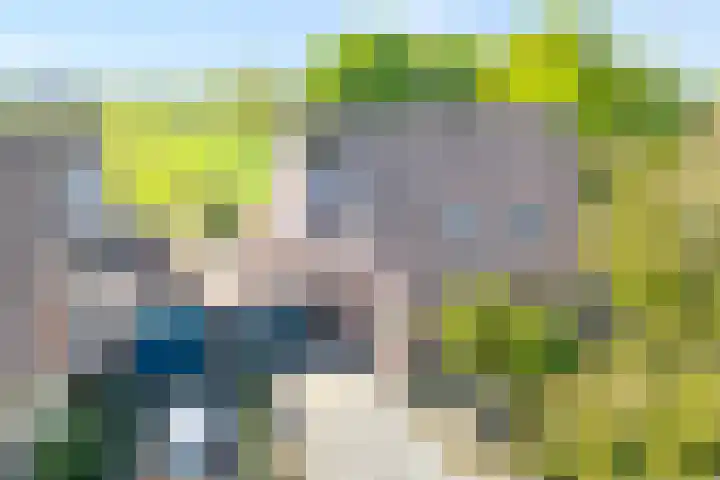 Kleine Pollen 18 Hardenberg thumbnail 4