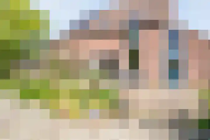 Kleine Pollen 18 Hardenberg thumbnail 40