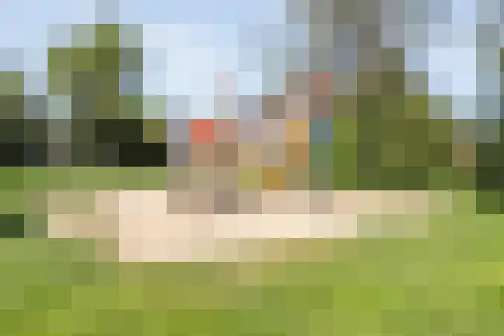 Kleine Pollen 18 Hardenberg thumbnail 42