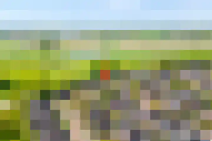Kleine Pollen 18 Hardenberg thumbnail 5