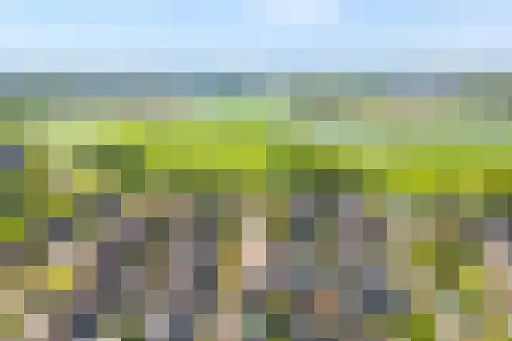 Kleine Pollen 18 Hardenberg thumbnail 6