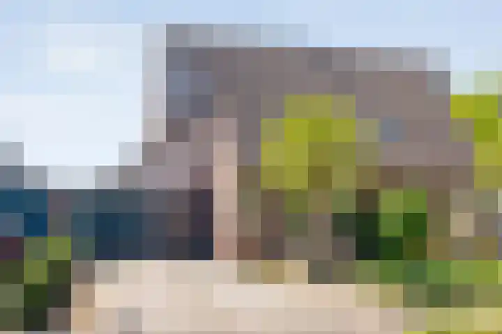 Kleine Pollen 18 Hardenberg thumbnail 8