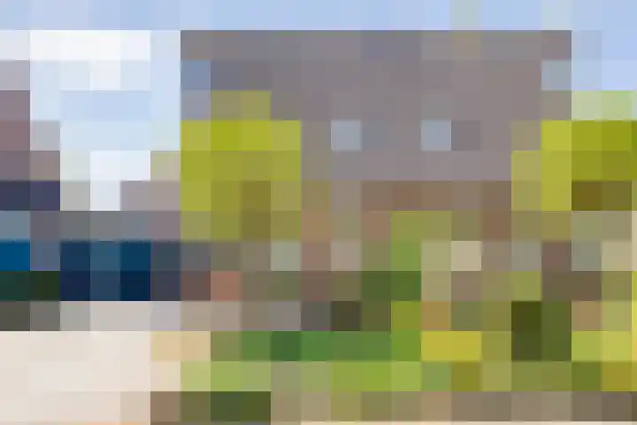 Kleine Pollen 18 Hardenberg thumbnail 9