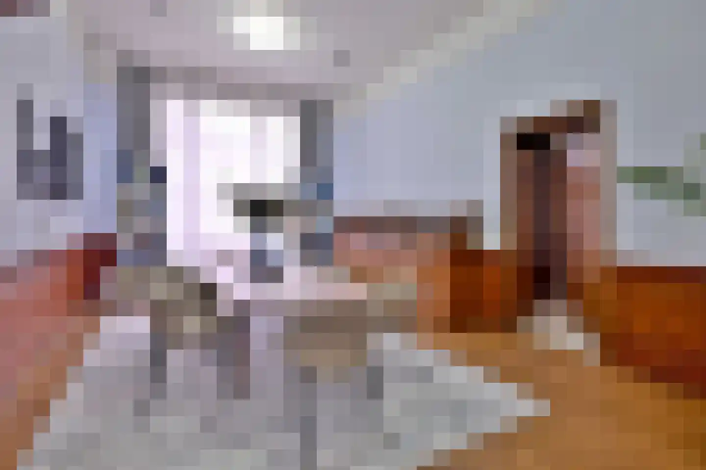 Kleine Poot 18 Deventer thumbnail 12