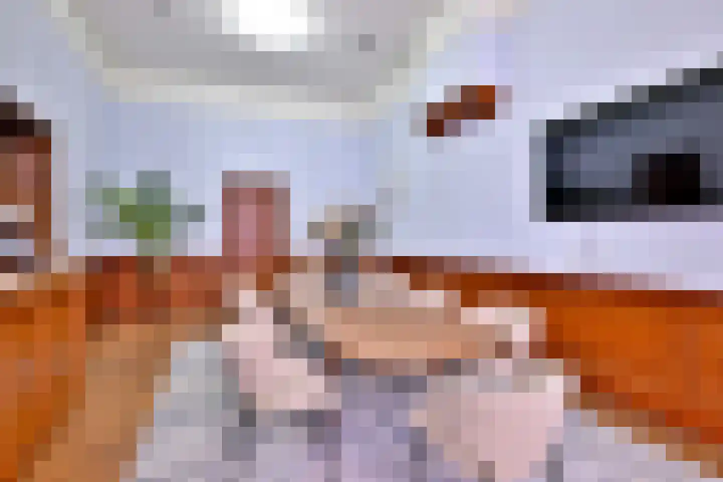 Kleine Poot 18 Deventer thumbnail 13