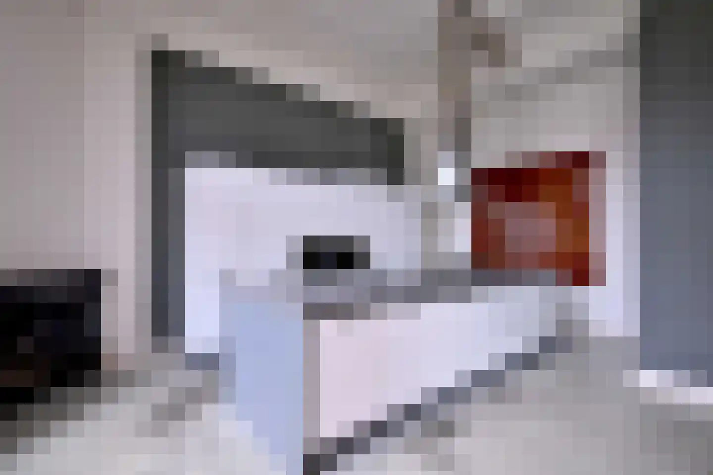 Kleine Poot 18 Deventer thumbnail 33