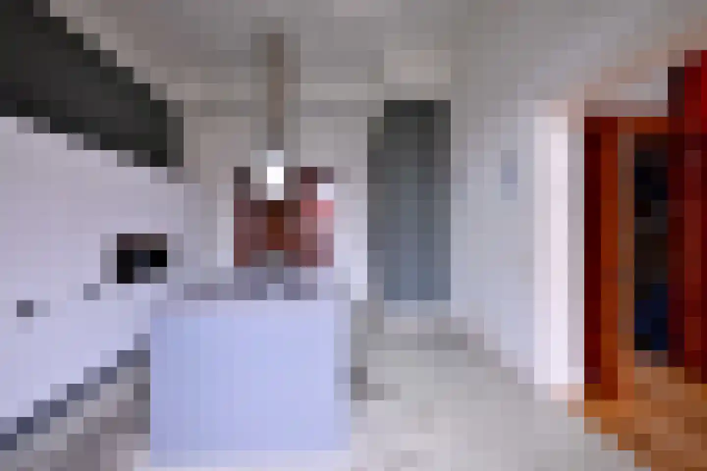 Kleine Poot 18 Deventer thumbnail 34