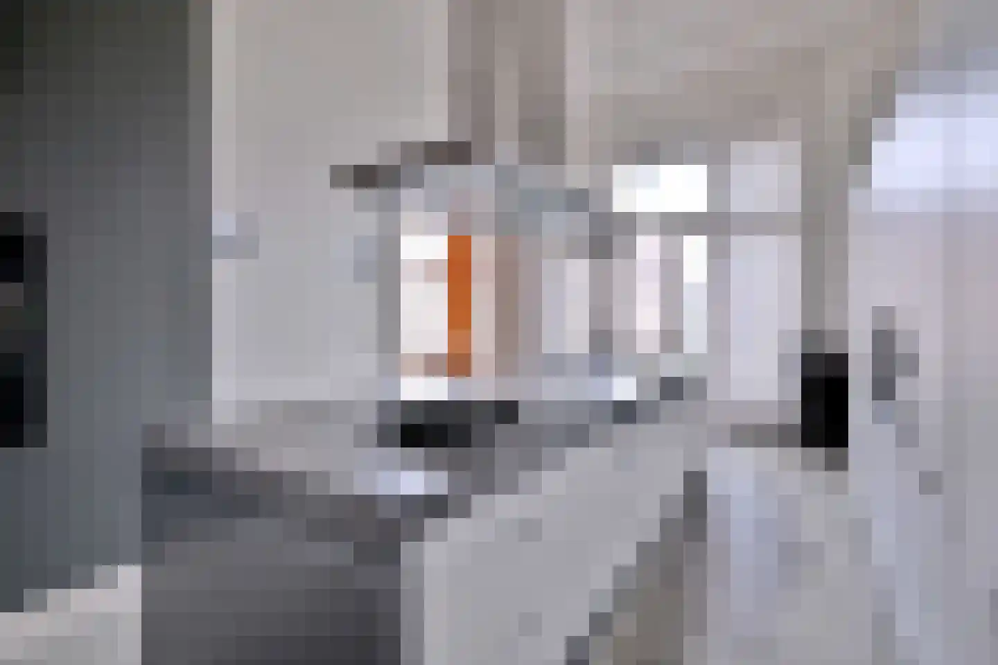 Kleine Poot 18 Deventer thumbnail 35