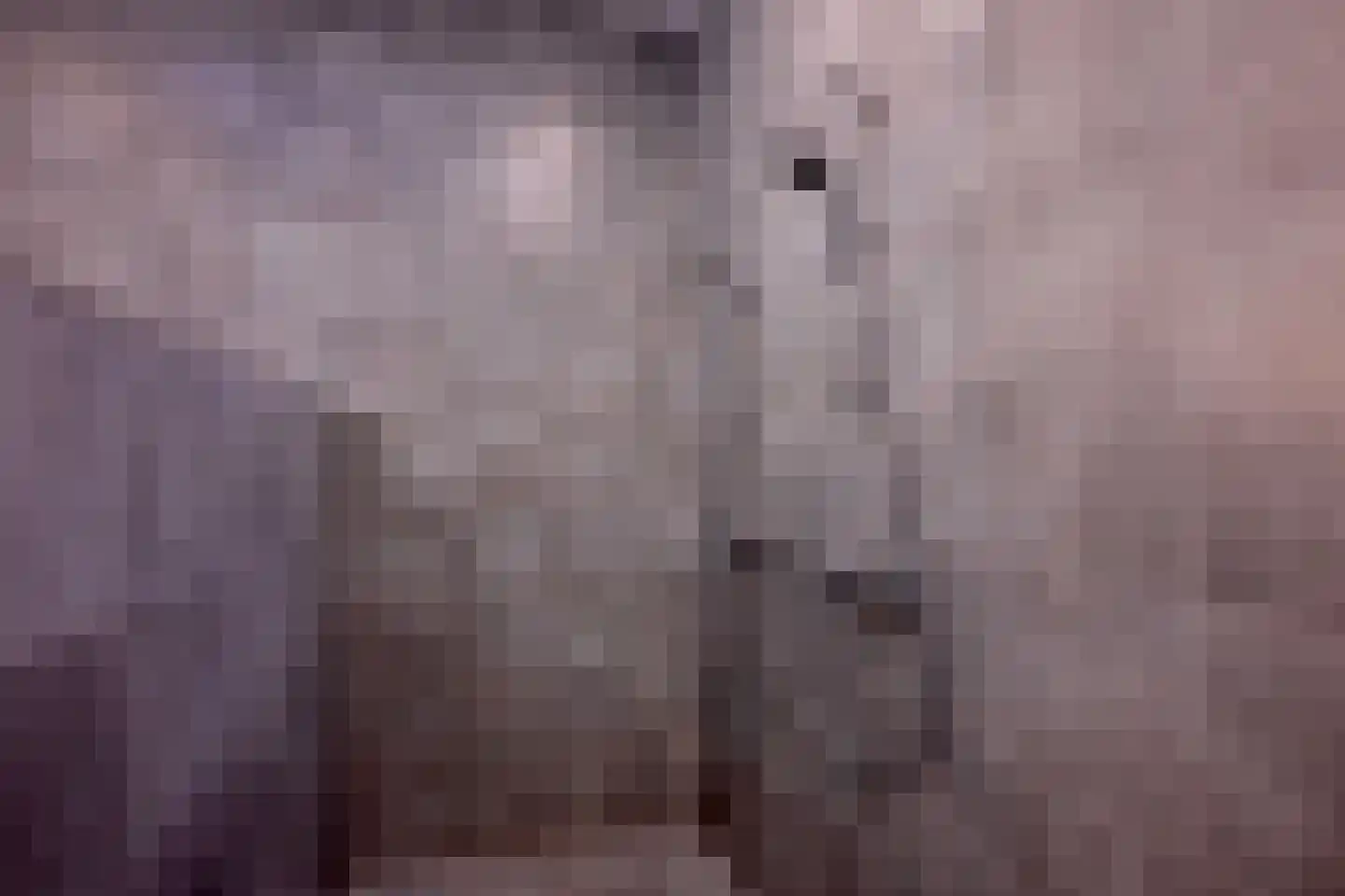 Kleine Poot 18 Deventer thumbnail 57