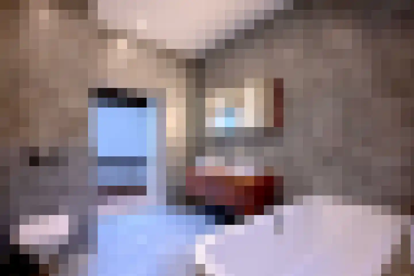 Kleine Poot 18 Deventer thumbnail 58