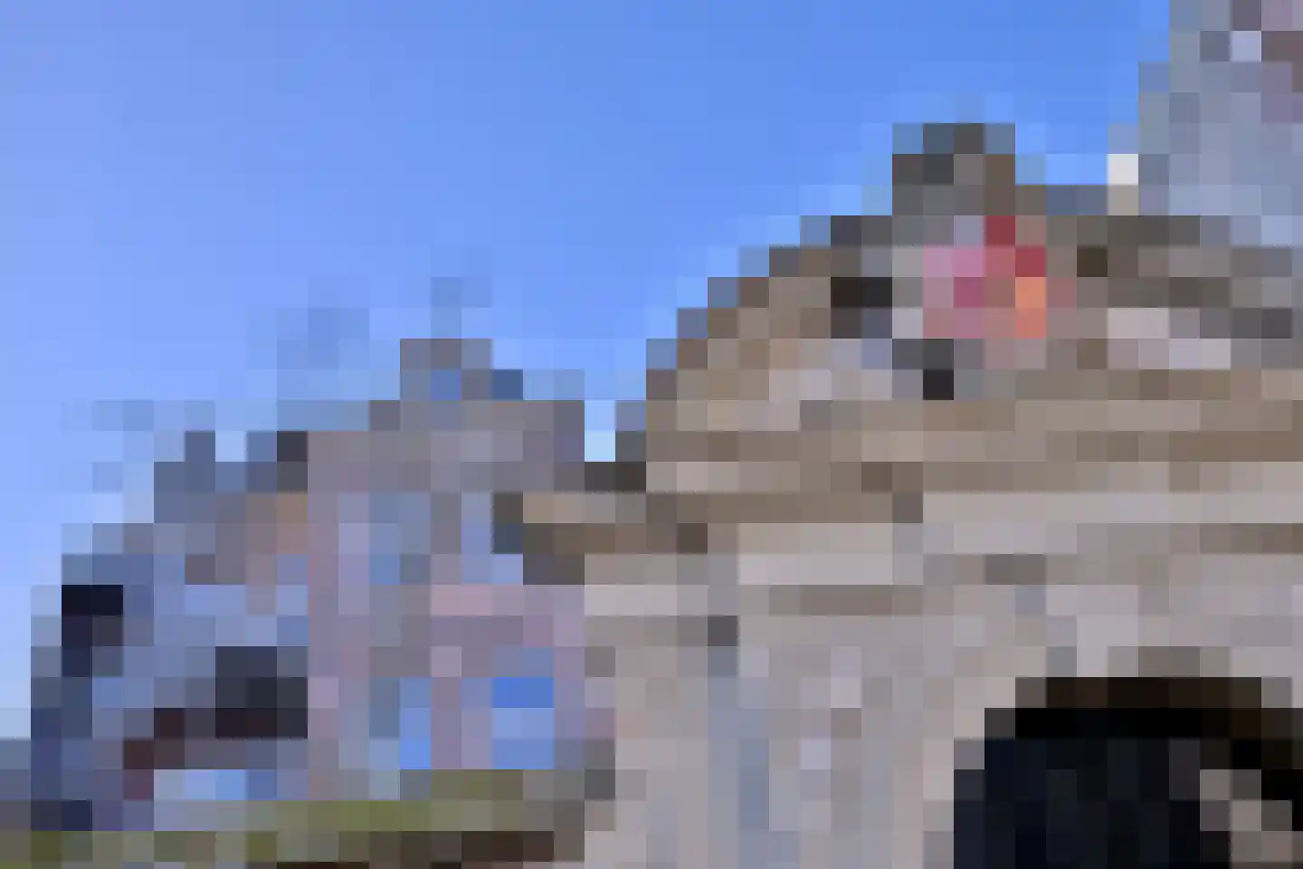 Kleine Poot 18 Deventer thumbnail 81