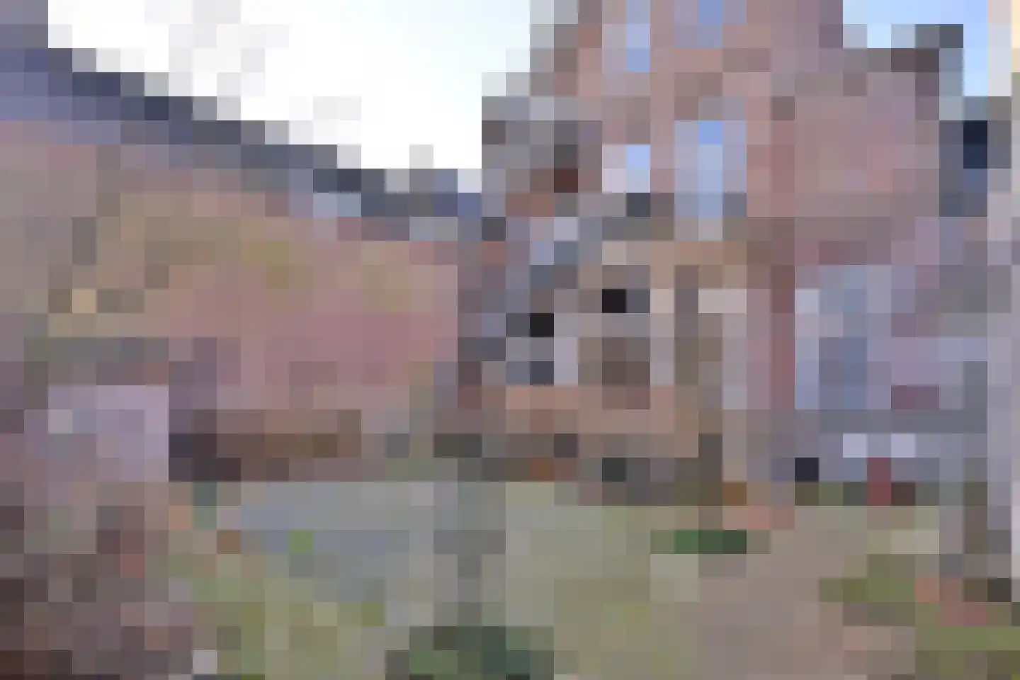 Kleine Poot 18 Deventer thumbnail 84