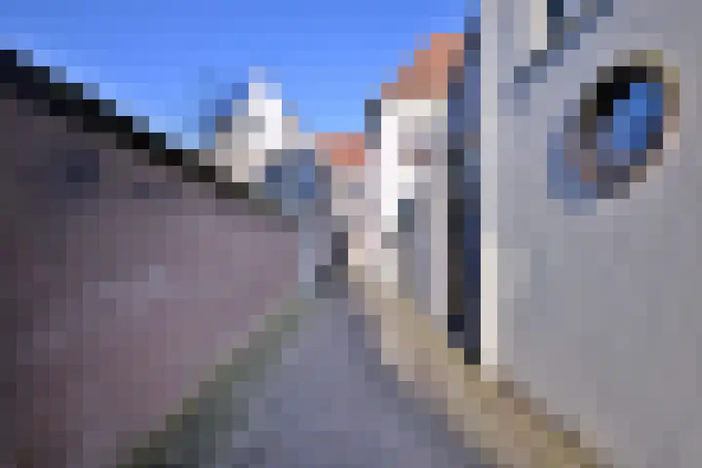 Kleine Poot 18 Deventer thumbnail 87