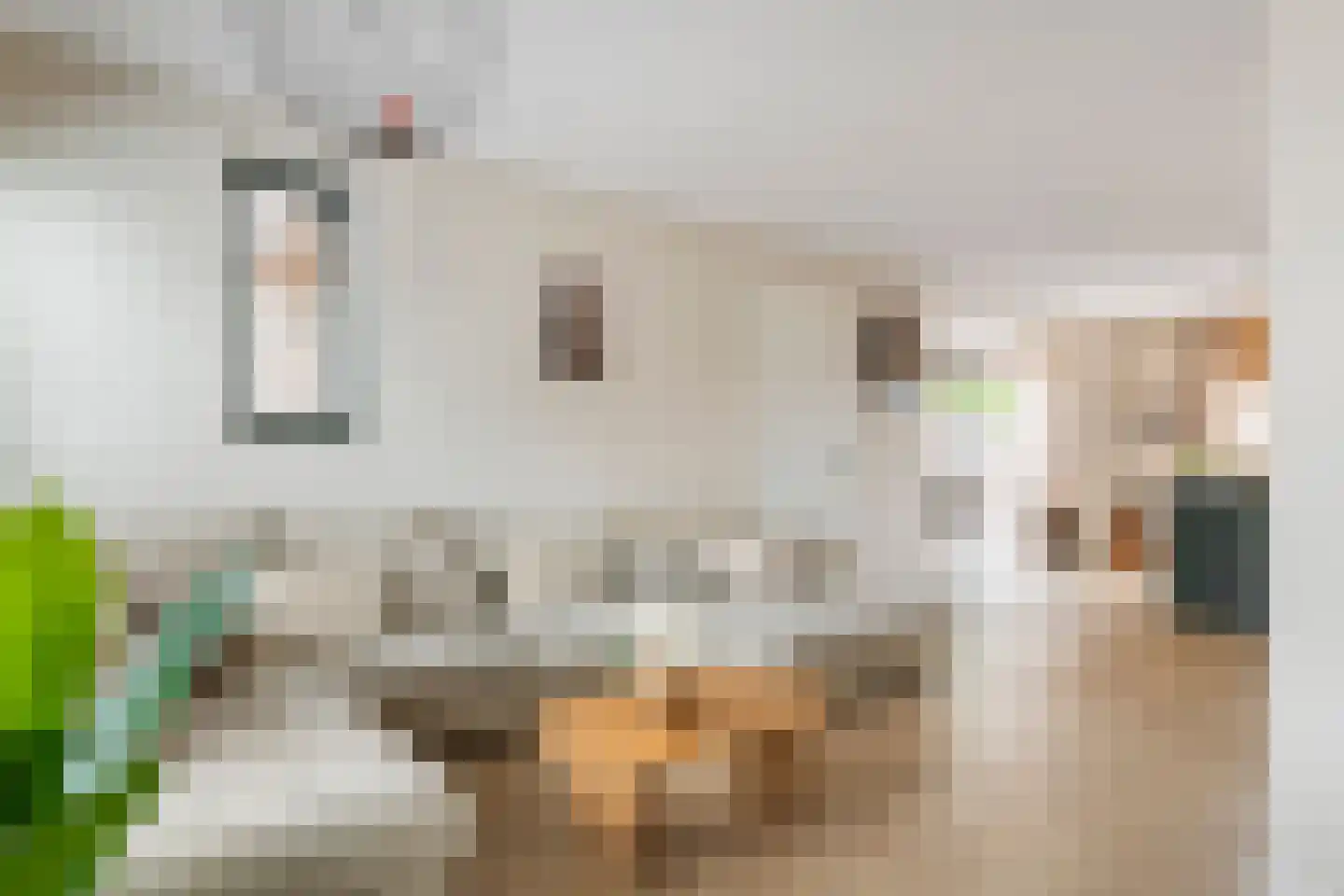 Kleine Ronduit 17 Tiel thumbnail 11