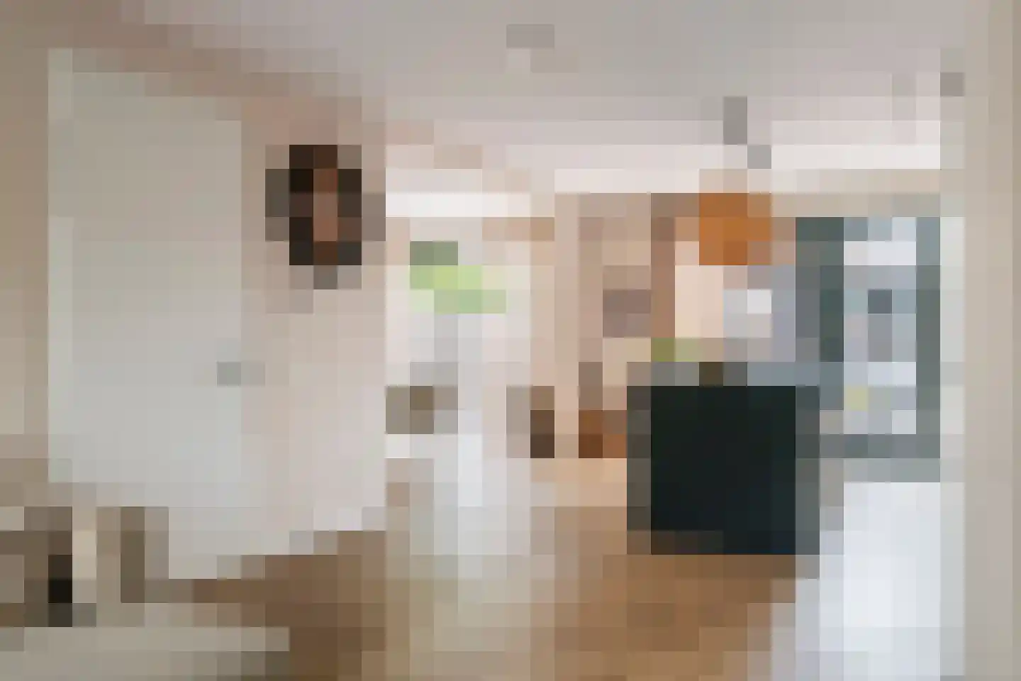 Kleine Ronduit 17 Tiel thumbnail 12