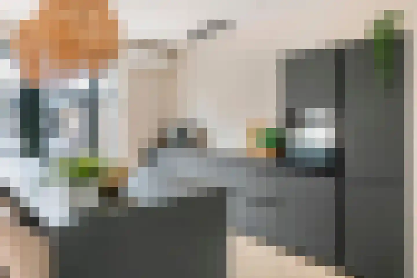 Kleine Ronduit 17 Tiel thumbnail 13