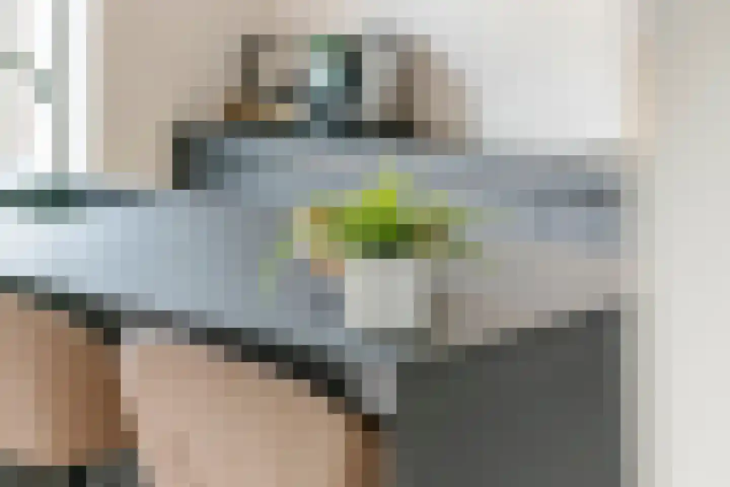 Kleine Ronduit 17 Tiel thumbnail 14
