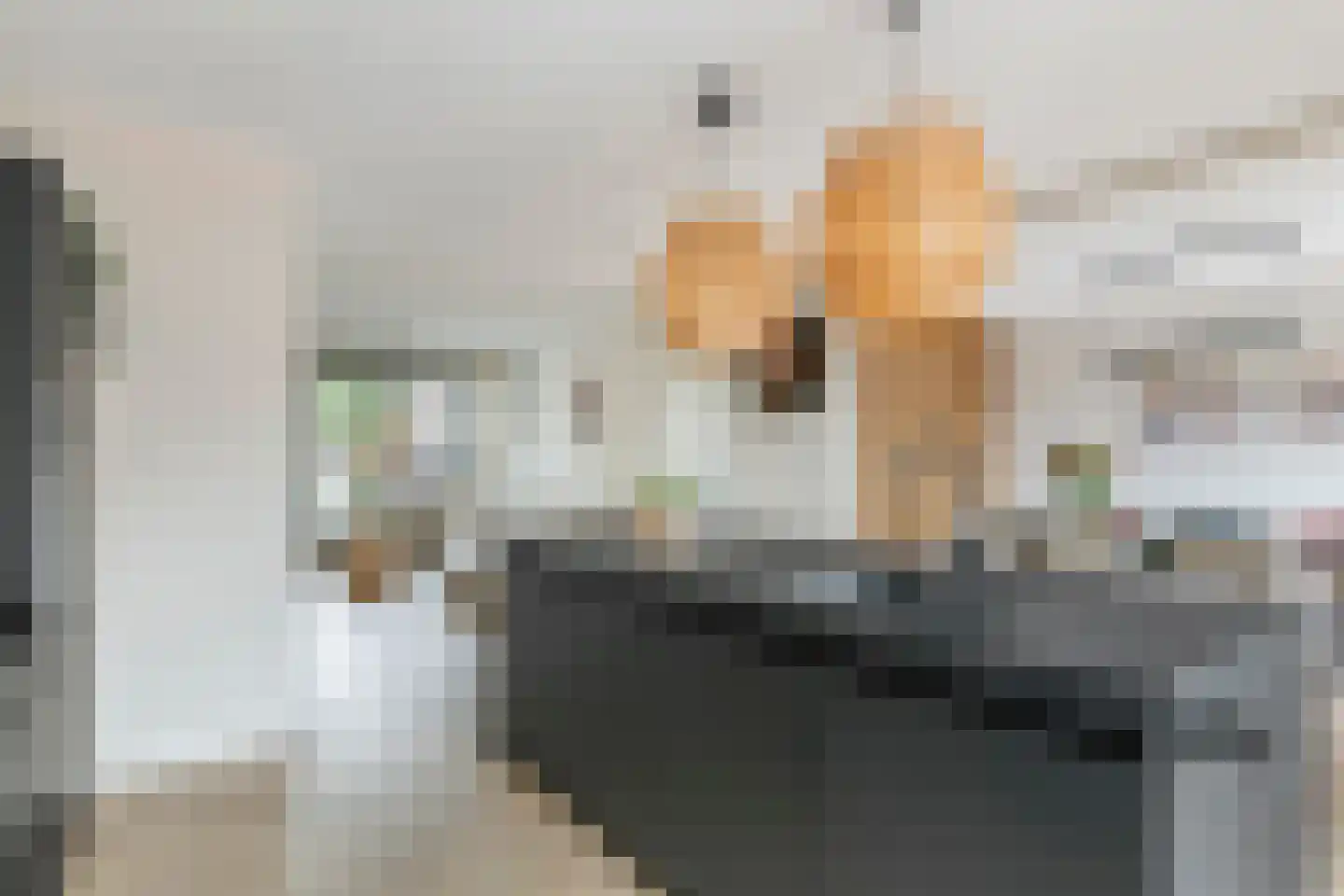 Kleine Ronduit 17 Tiel thumbnail 17