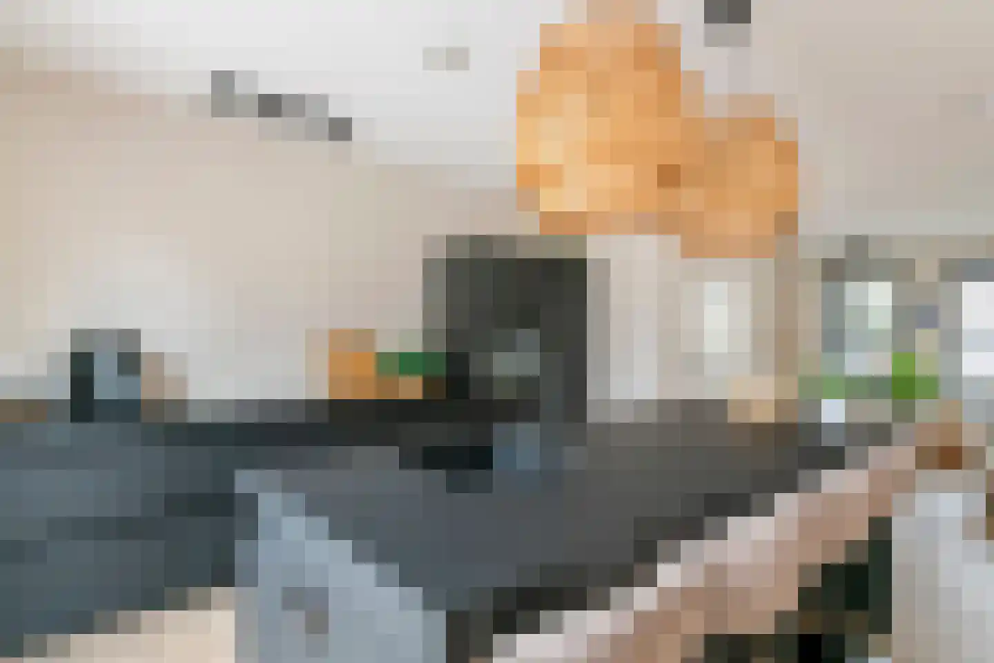 Kleine Ronduit 17 Tiel thumbnail 18