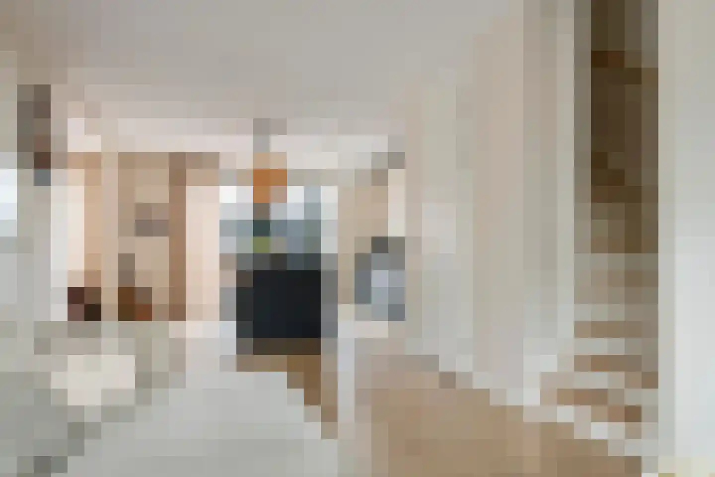 Kleine Ronduit 17 Tiel thumbnail 24
