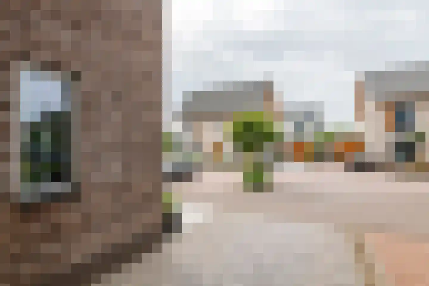 Kleine Ronduit 17 Tiel thumbnail 47