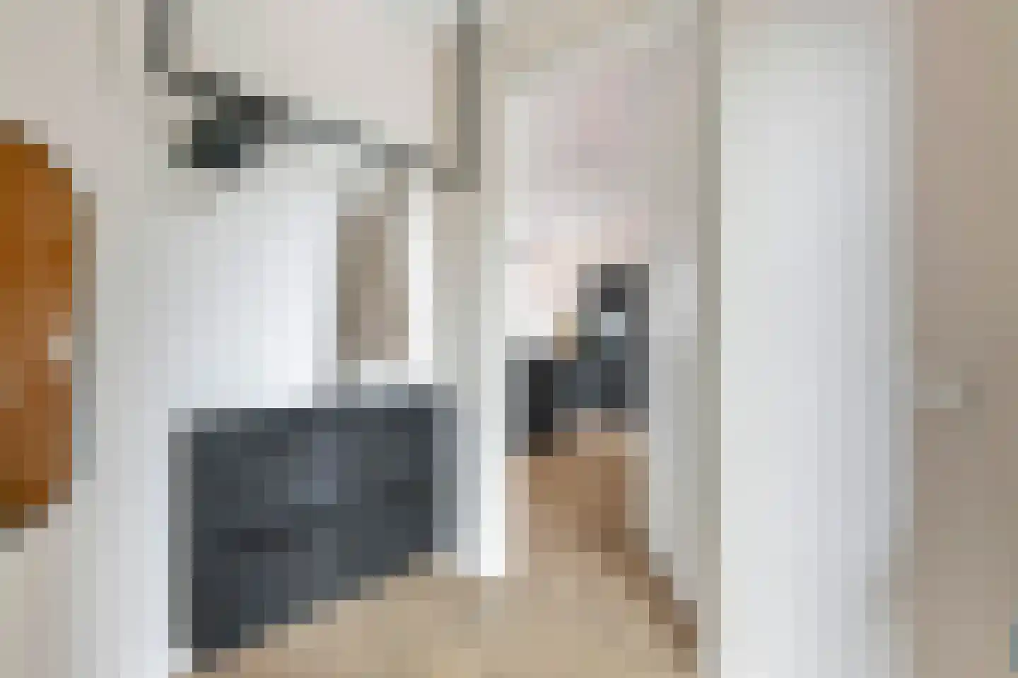 Kleine Ronduit 17 Tiel thumbnail 5
