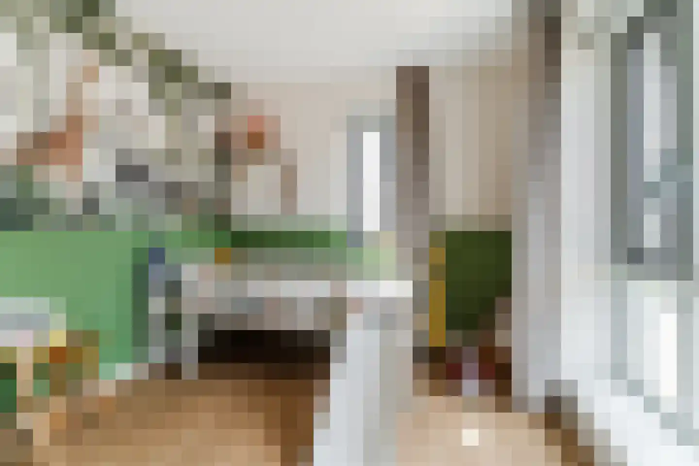Kleine Ronduit 18 Tiel thumbnail 31
