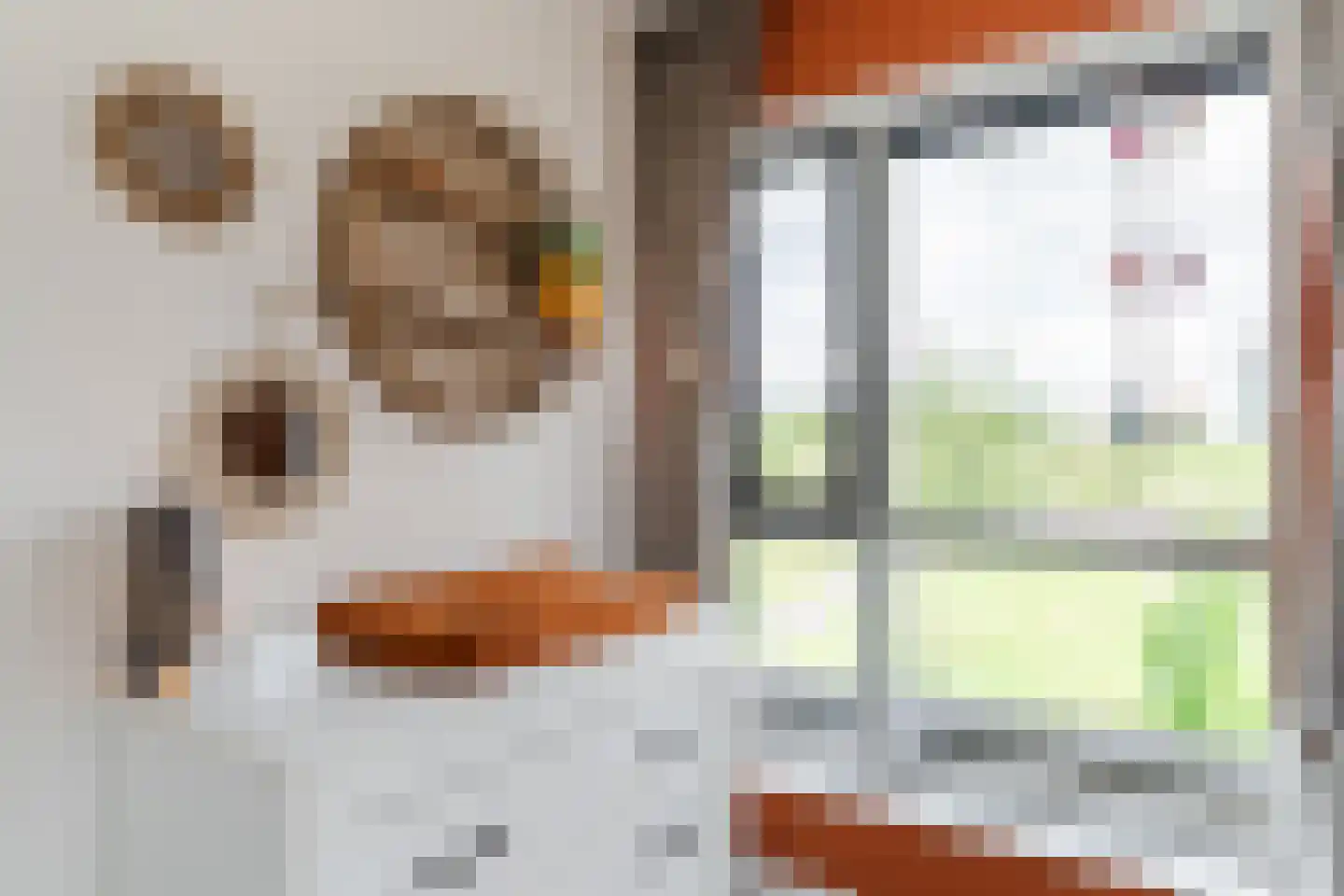 Kleine Ronduit 18 Tiel thumbnail 34