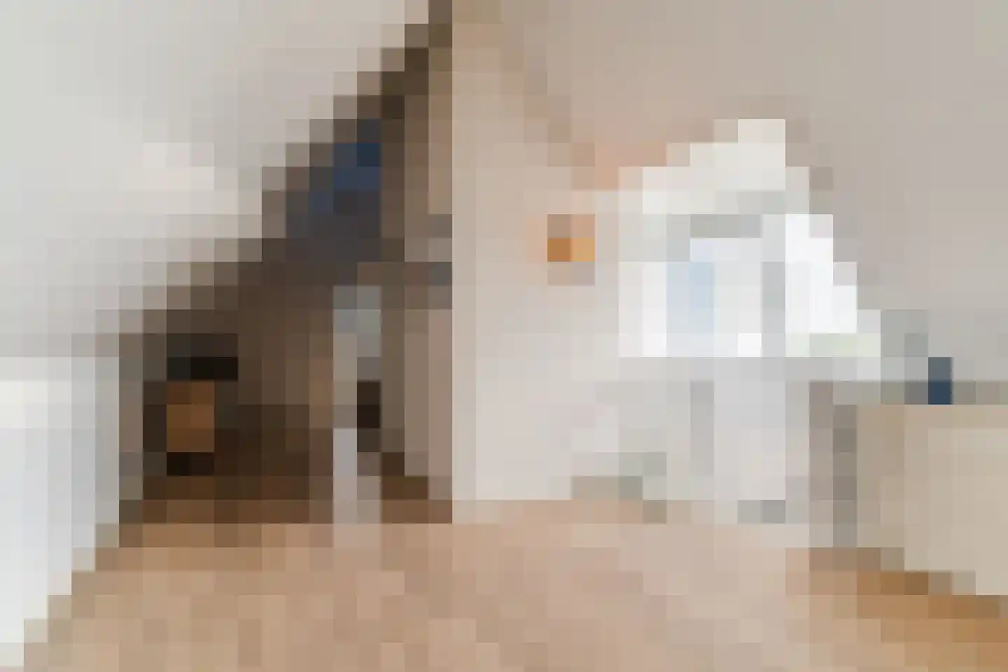 Kleine Ronduit 18 Tiel thumbnail 45