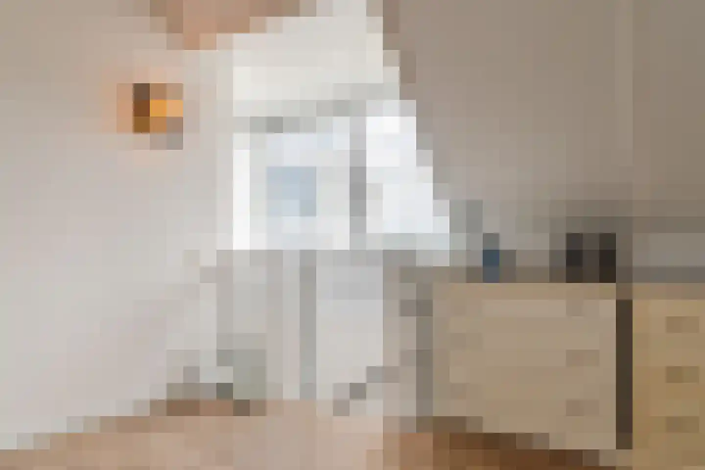 Kleine Ronduit 18 Tiel thumbnail 47