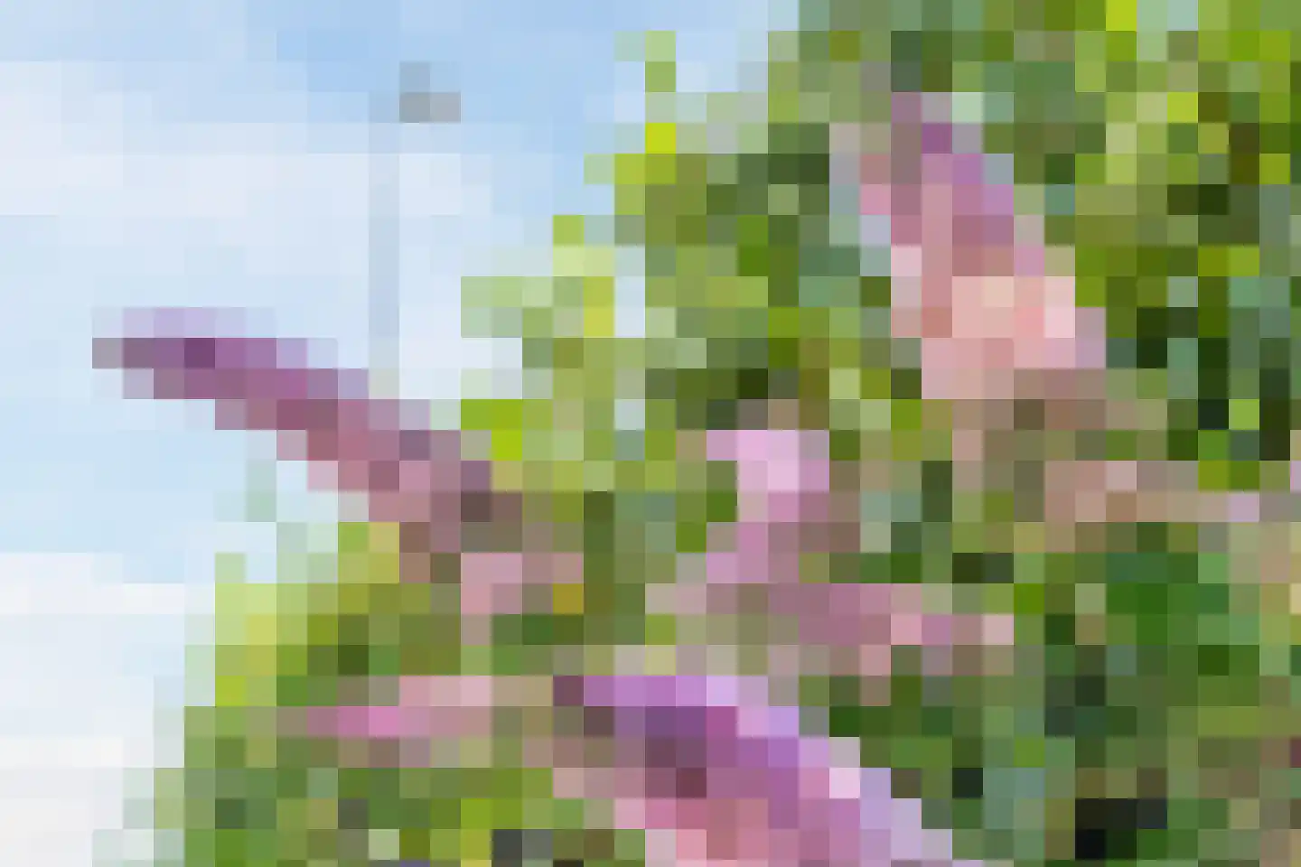 Kleine Ronduit 18 Tiel thumbnail 56