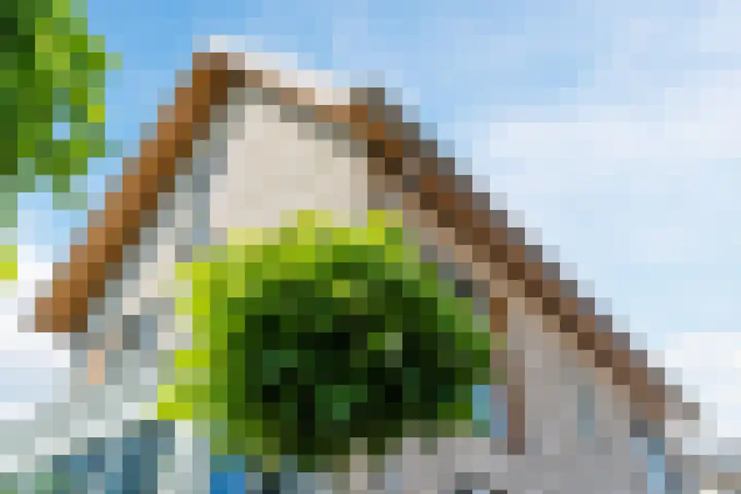 Kleine Ronduit 18 Tiel thumbnail 64
