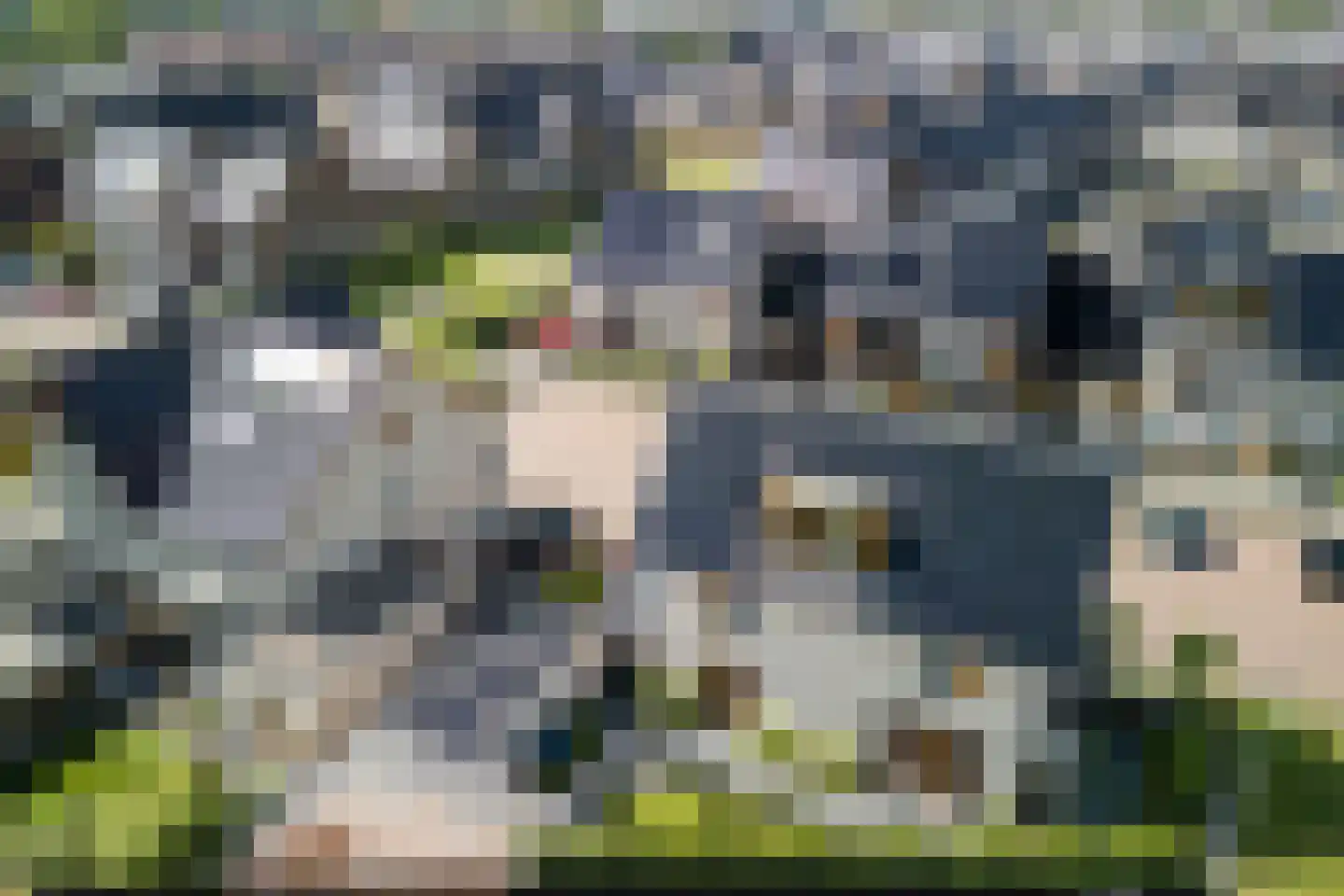 Kleine Ronduit 18 Tiel thumbnail 71