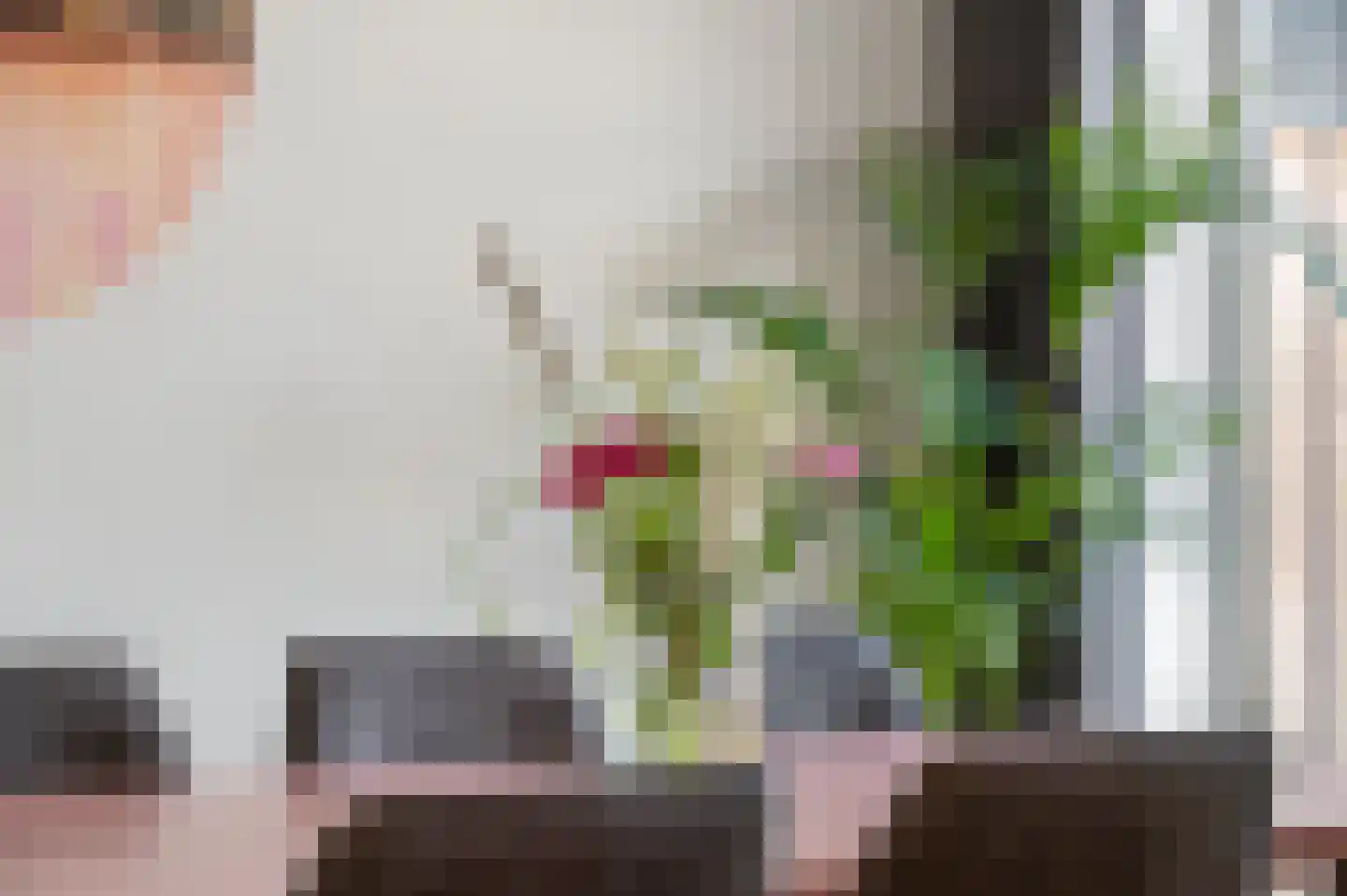 Kleine Ronduit 21 Tiel thumbnail 12