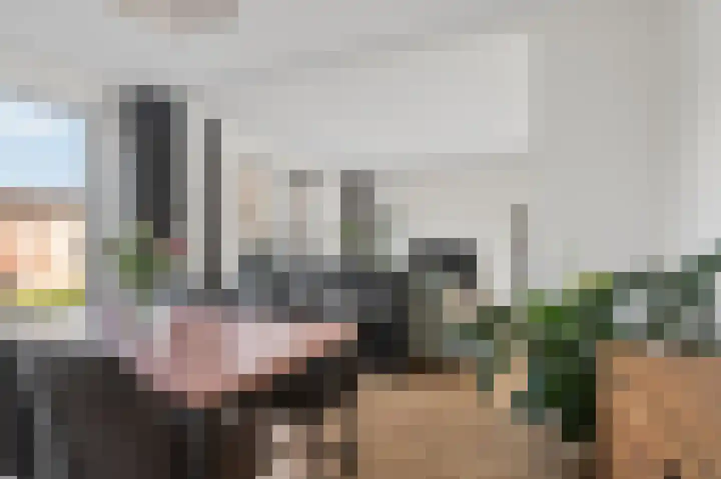 Kleine Ronduit 21 Tiel thumbnail 13