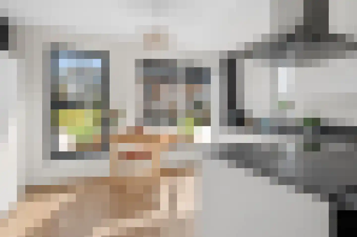 Kleine Ronduit 21 Tiel thumbnail 16