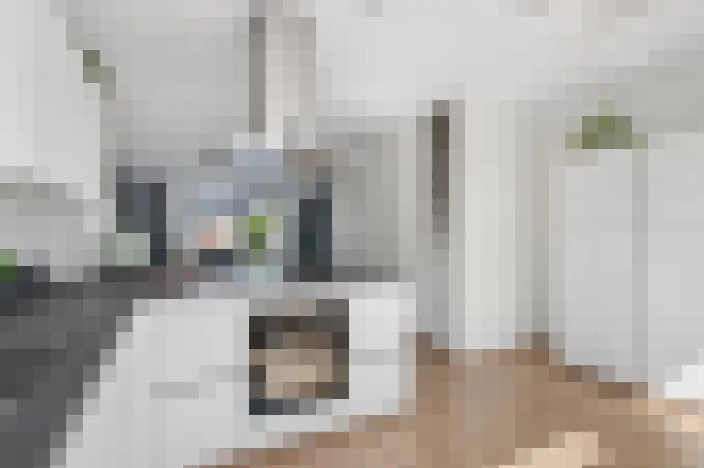 Kleine Ronduit 21 Tiel thumbnail 18