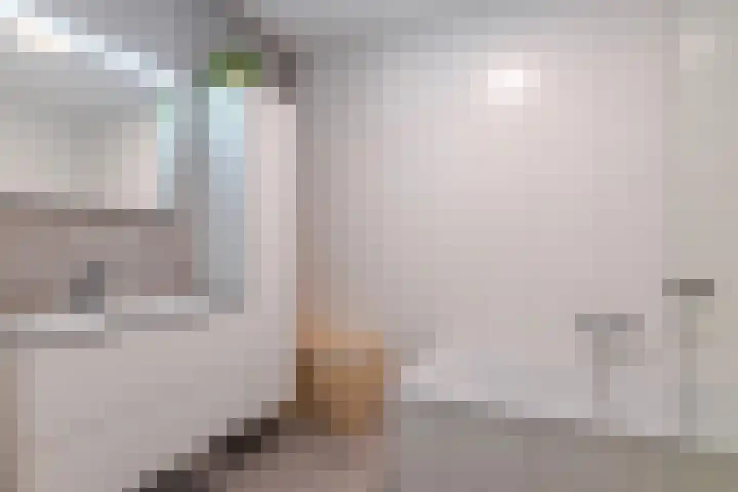 Kleine Ronduit 21 Tiel thumbnail 38