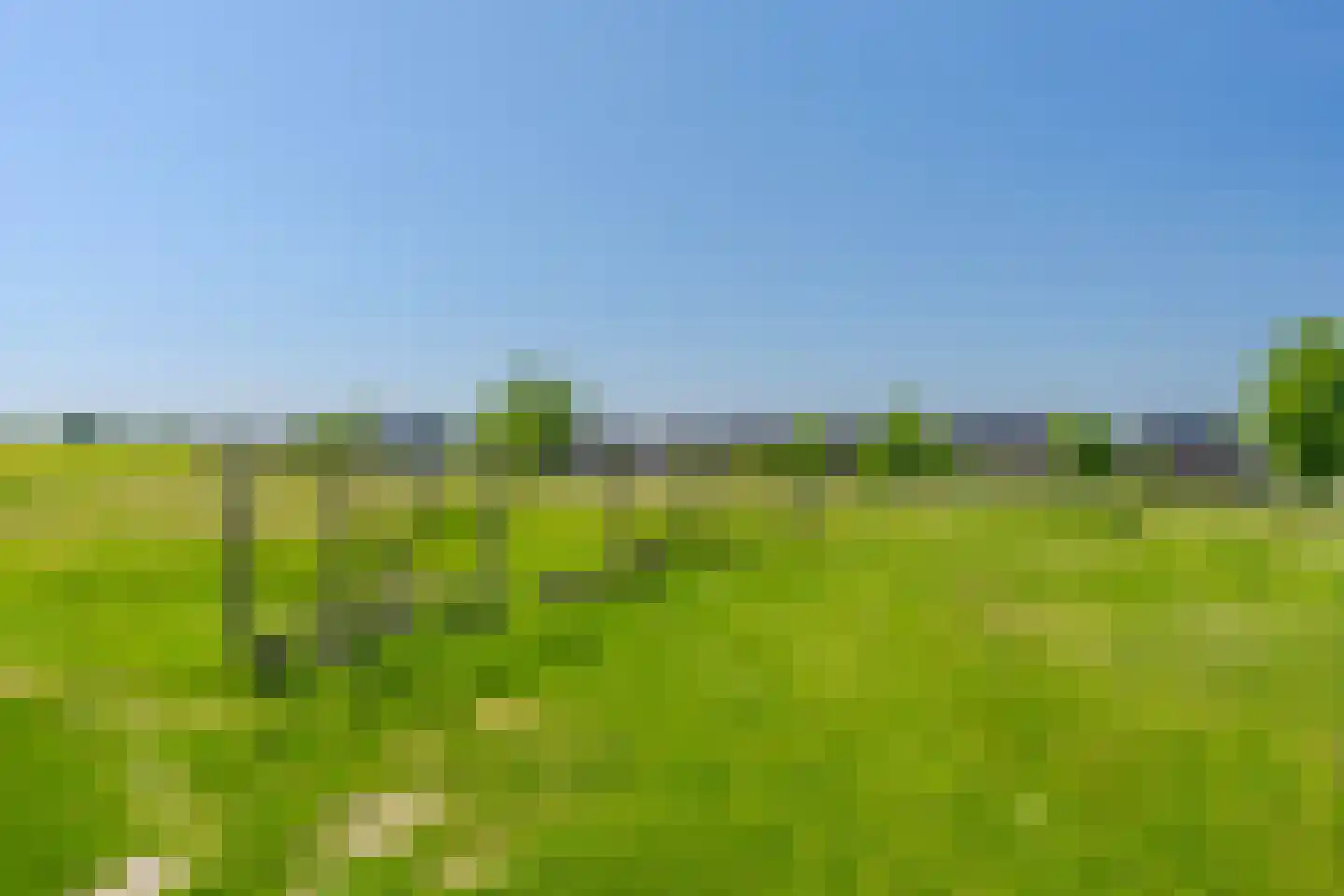 Kleine Ronduit 21 Tiel thumbnail 50