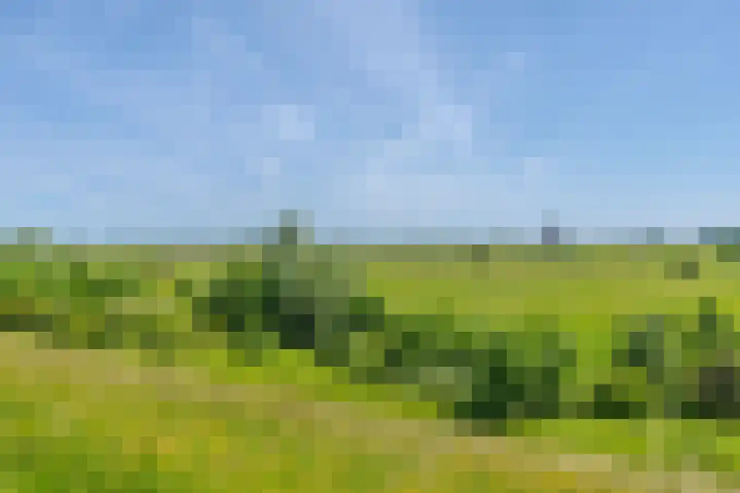 Kleine Ronduit 21 Tiel thumbnail 53