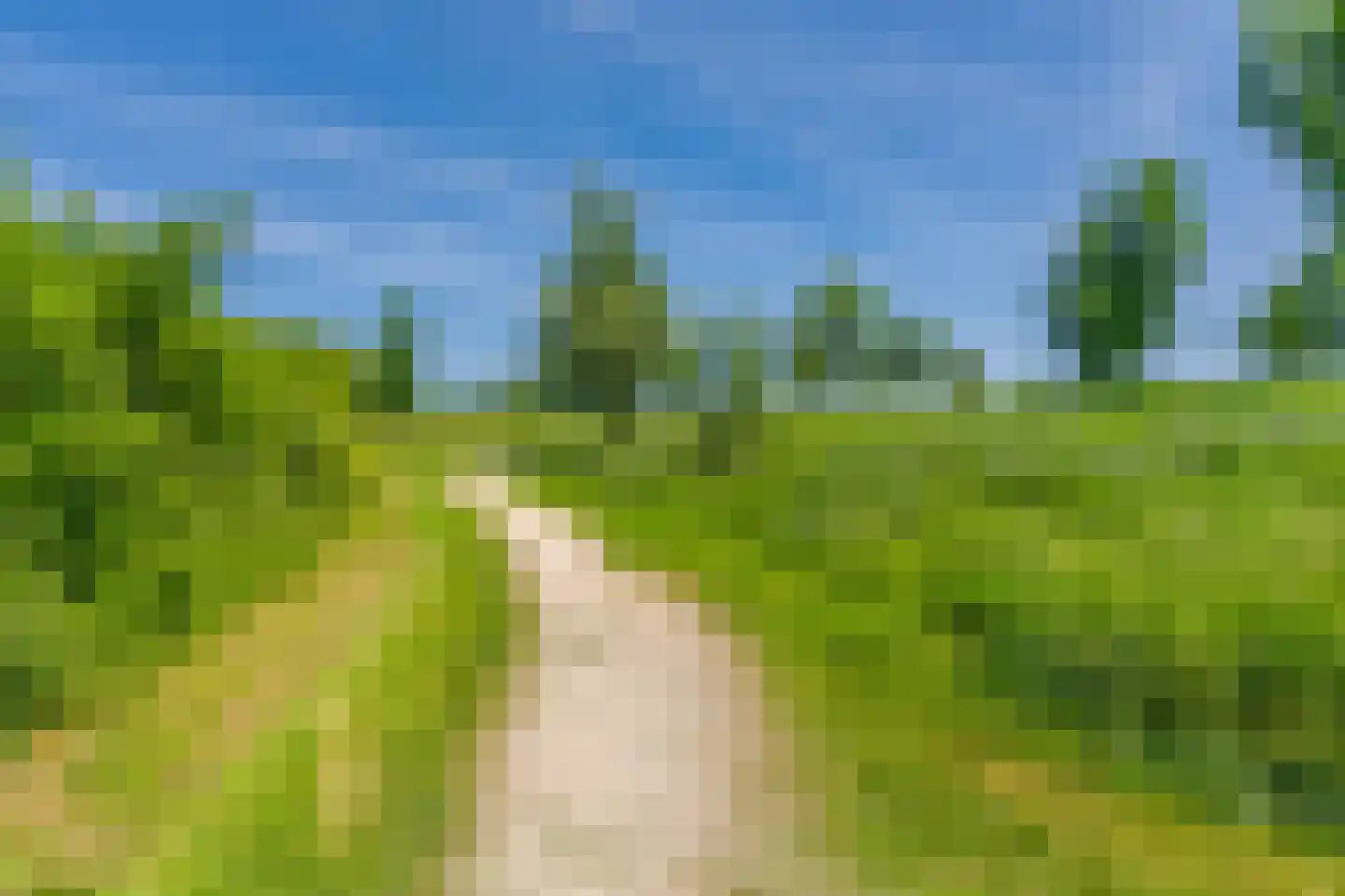 Kleine Ronduit 21 Tiel thumbnail 54