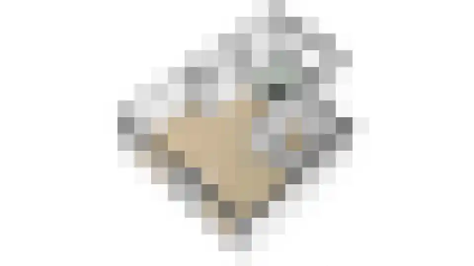 Kleine Ronduit 21 Tiel thumbnail 61