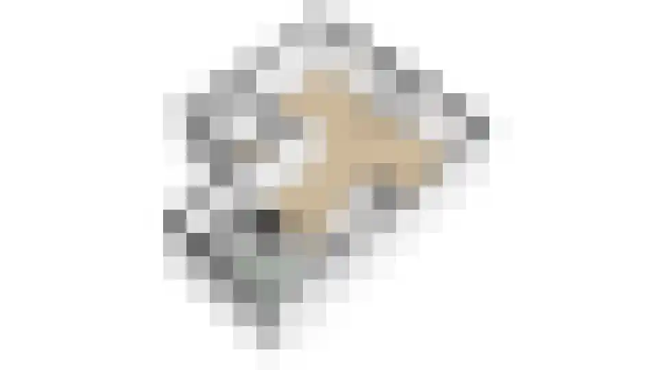 Kleine Ronduit 21 Tiel thumbnail 62