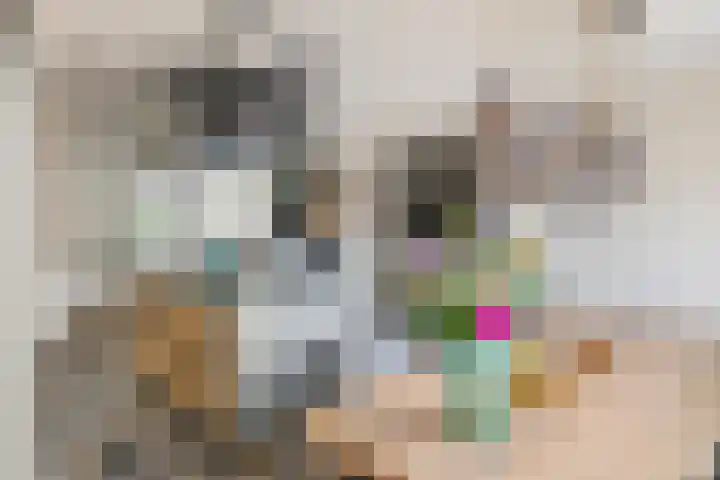 Kleine Ronduit 35 Tiel thumbnail 10