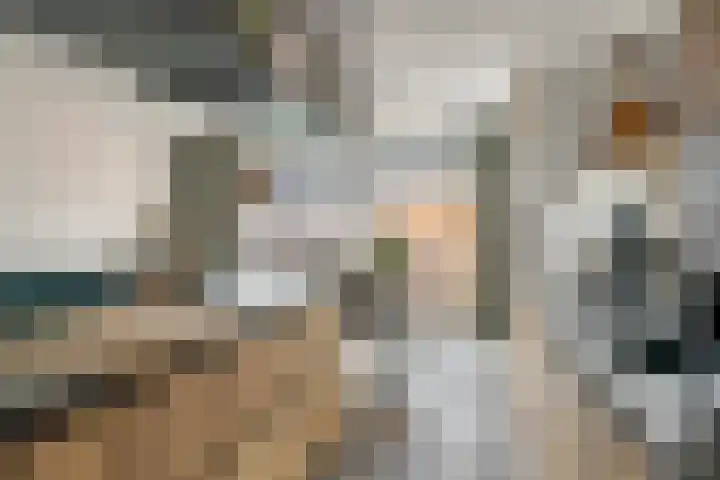 Kleine Ronduit 35 Tiel thumbnail 11