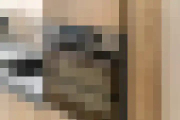 Kleine Ronduit 35 Tiel thumbnail 12
