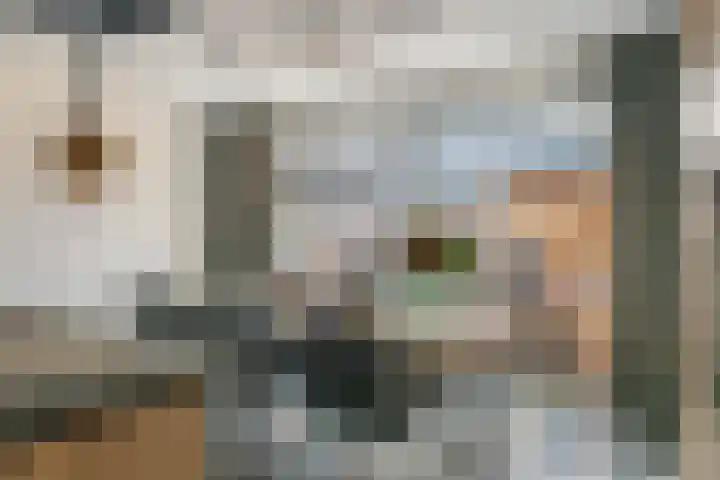 Kleine Ronduit 35 Tiel thumbnail 13